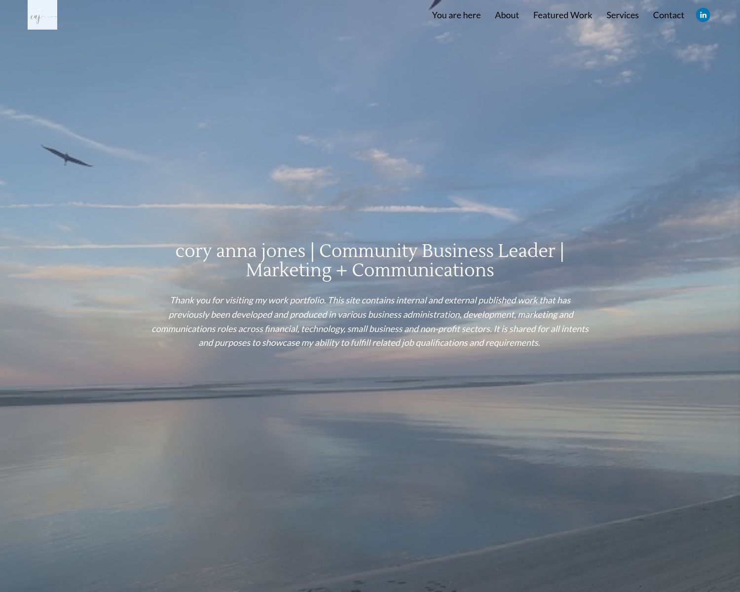 Cory Anna Jones Portfolio Example